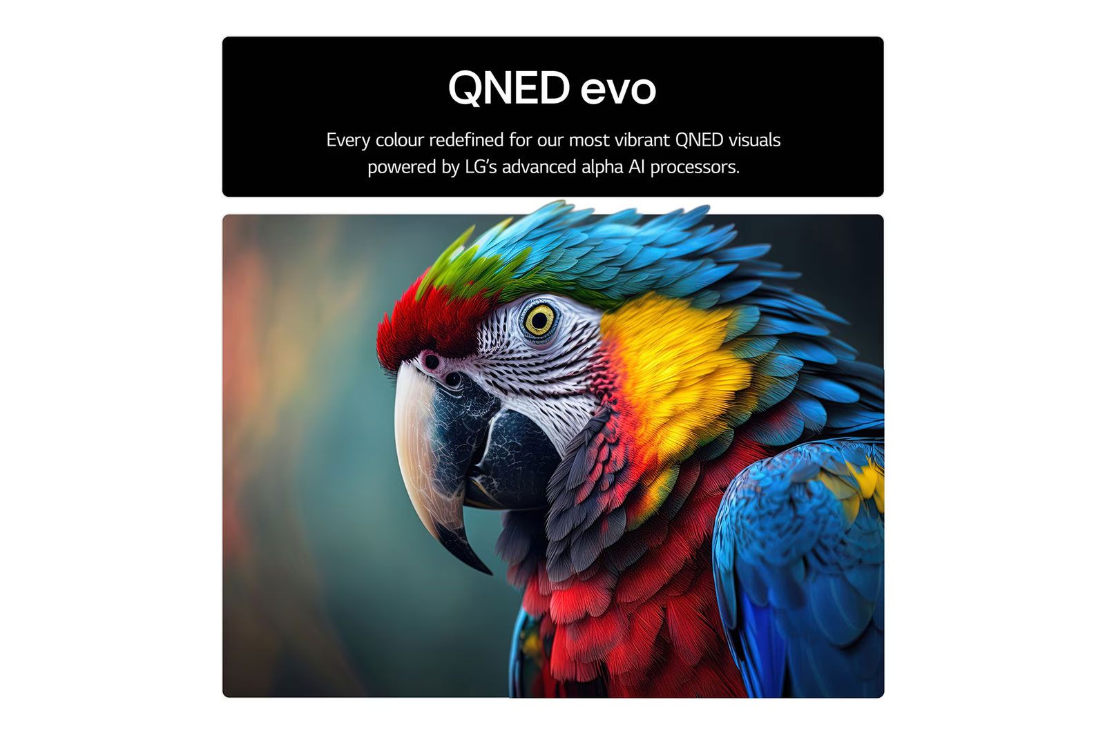 ��� 75 ���� LG QNED MiniLED AI TV SMART 4K 75QNED93A6A