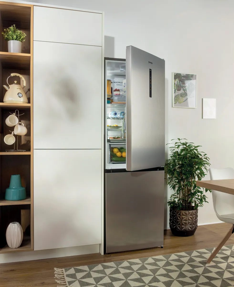 Gorenje NRK6202AXL4