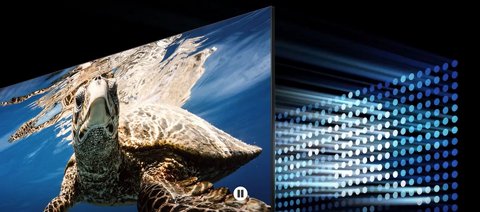 ������ 55 ���� Samsung QE55Q80D QLED *������*