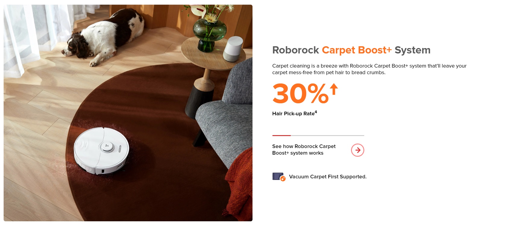 ���� ��� ������ ���� ������� ���� Roborock S8 Pro Ultra