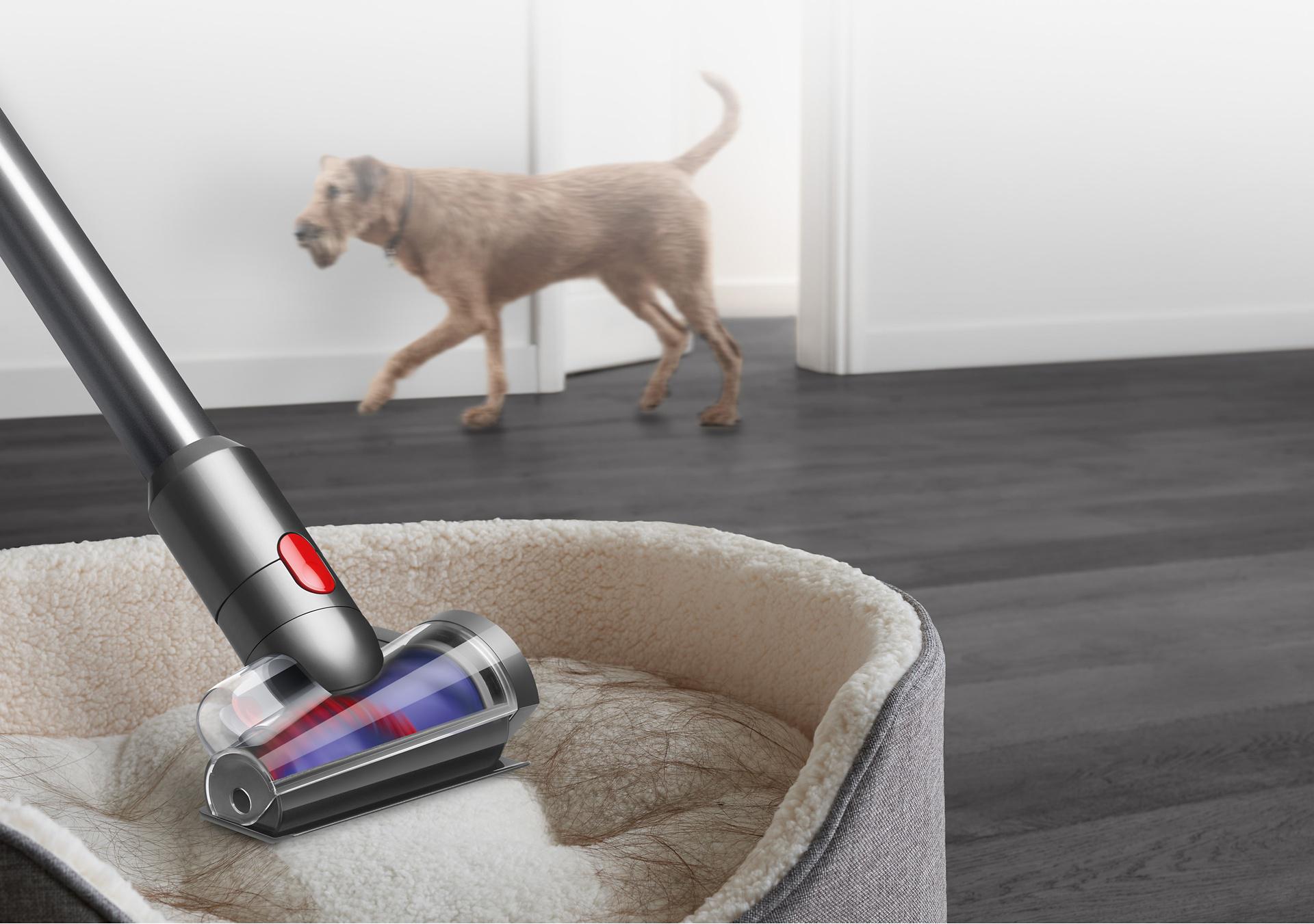 ����� ��� ������ ������ ���� ��� ����� Dyson V12 Detect Slim Absolute